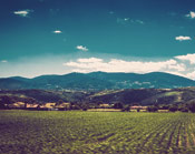 免费ddos平台攻击